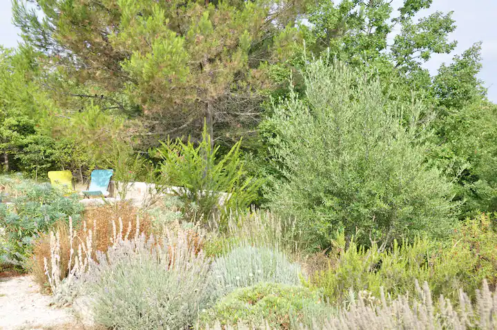 View of Terrace from the Garden