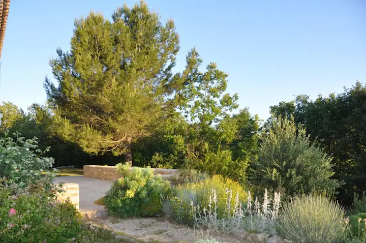 Glimpse at the Terrace